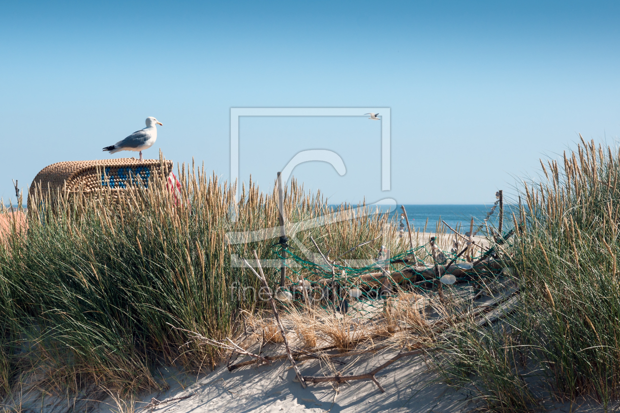 Bild-Nr.: 11003254 Nordsee - Strandburg mit Muscheln und Möwe erstellt von Reiner Würz