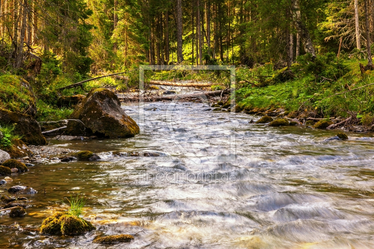 Bild-Nr.: 11003806 Tirol - Wildbach erstellt von wompus