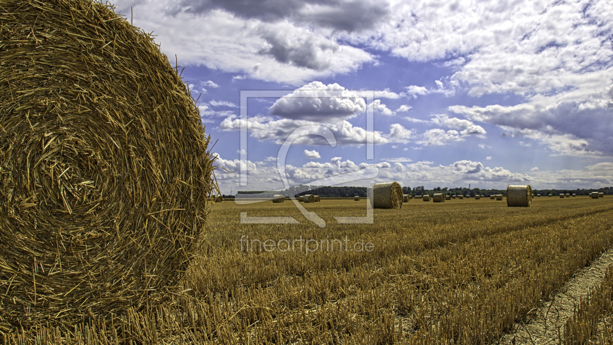 Bild-Nr.: 11005772 Wolken nach der Ernte erstellt von Lothar Willeke