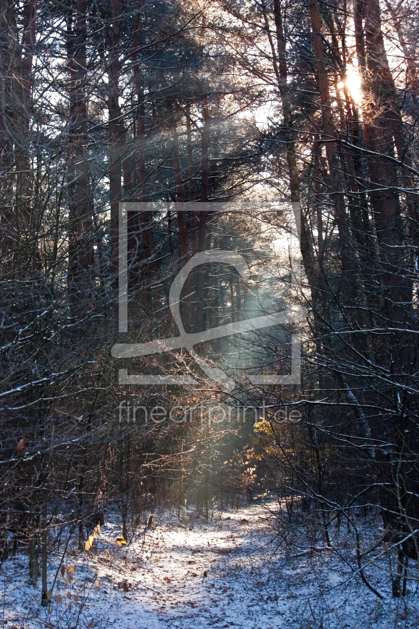 Bild-Nr.: 11007100 Sonne im Winter erstellt von Gilidhor