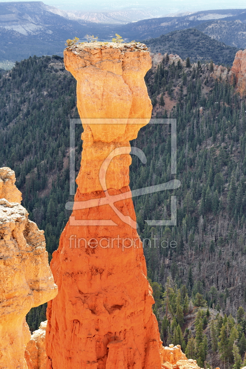 Bild-Nr.: 11012422 Bryce Canyon erstellt von fotoping