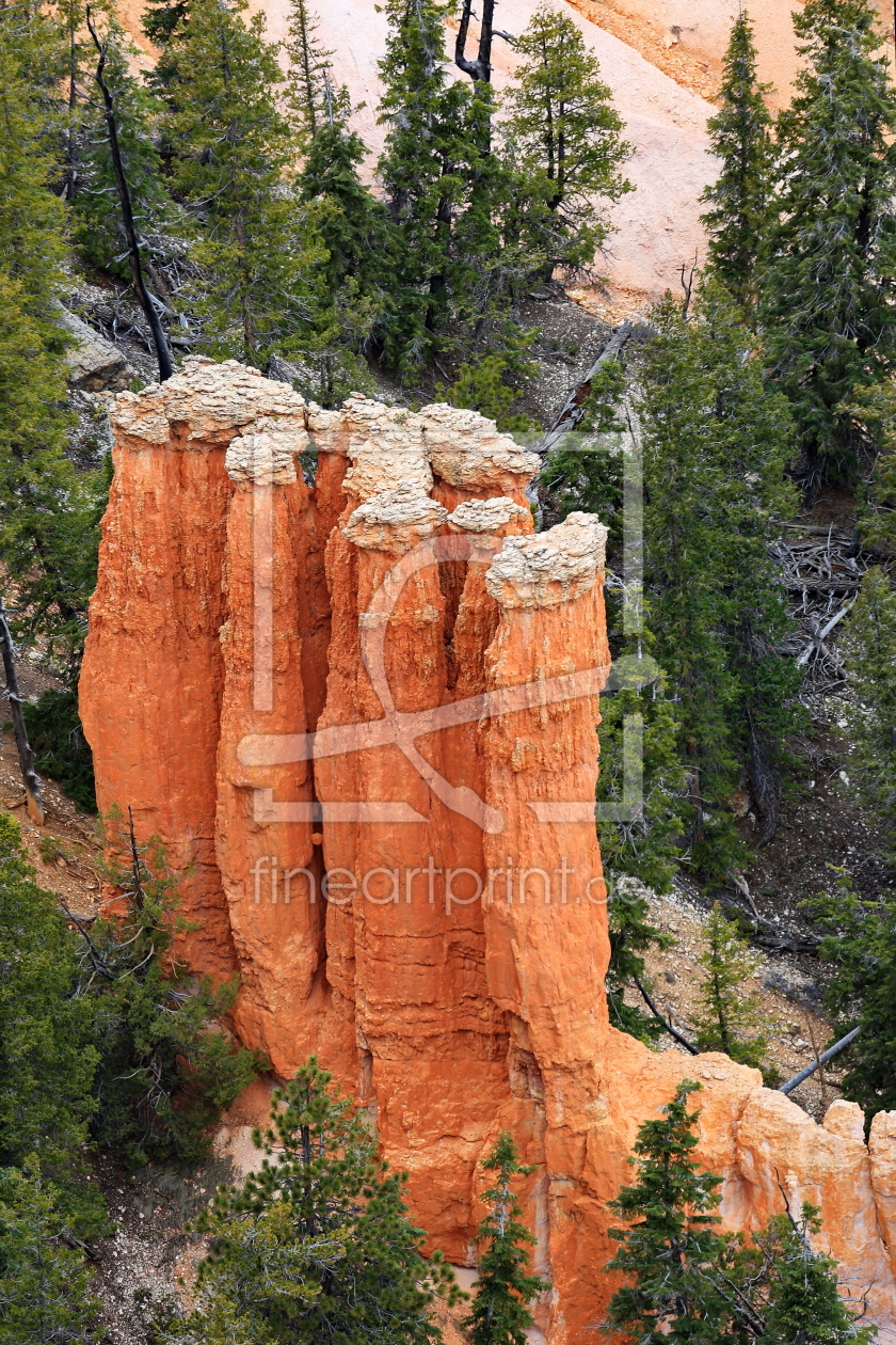 Bild-Nr.: 11012426 Bryce Canyon erstellt von fotoping
