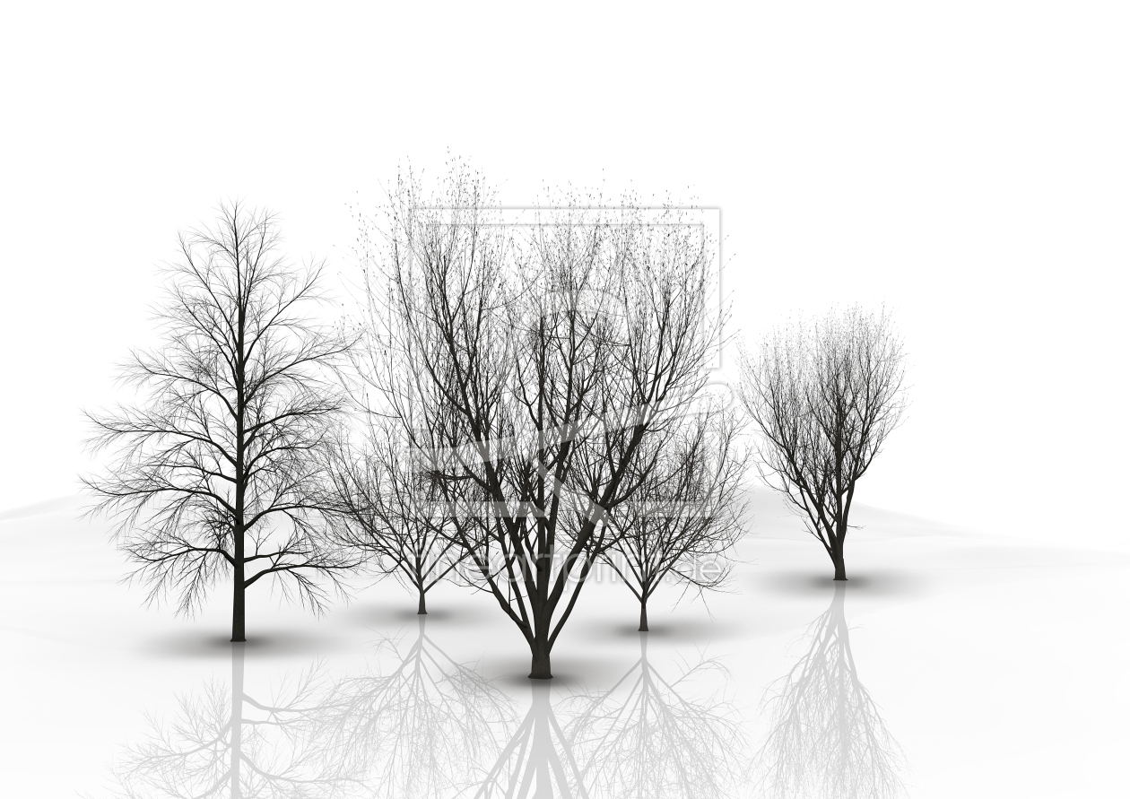 Bild-Nr.: 11013526 bäume erstellt von Werner Bethke