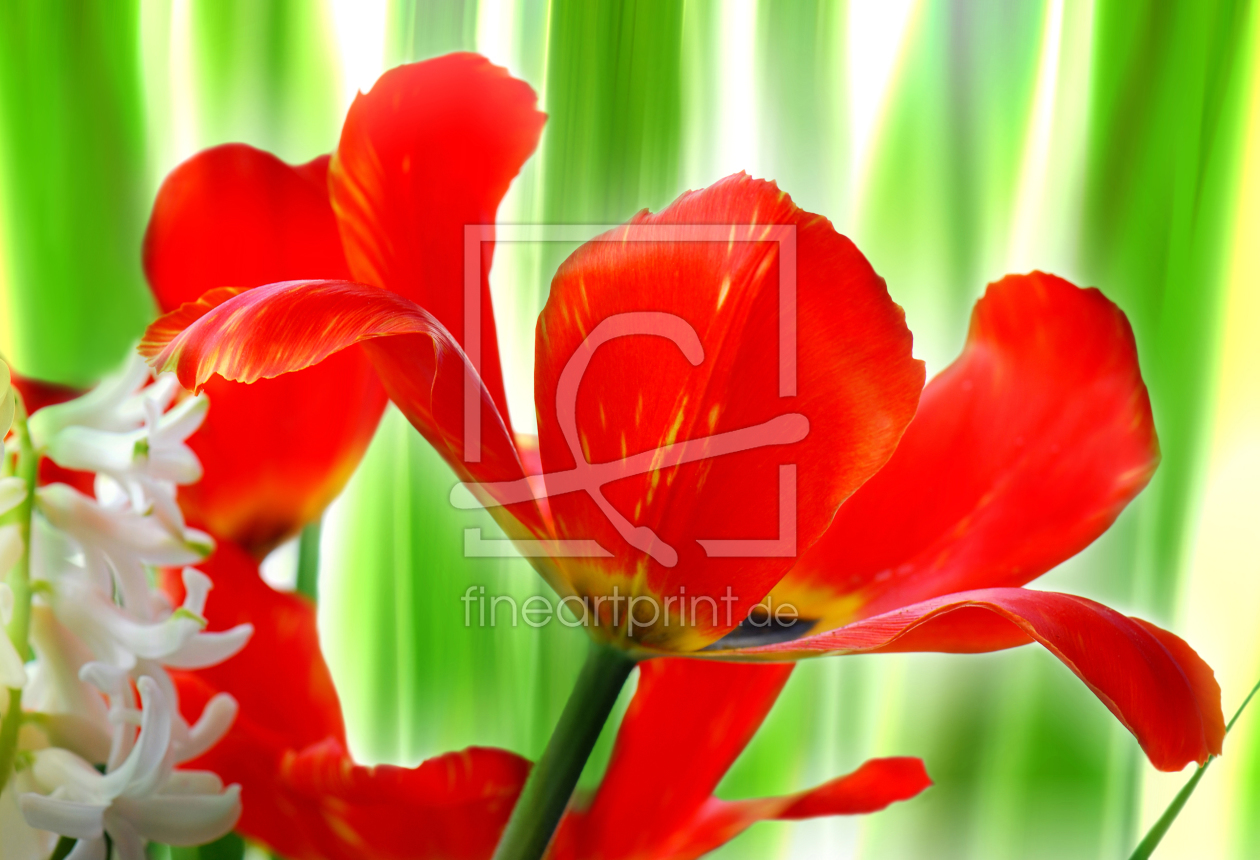 Bild-Nr.: 11014232 Frühling erstellt von Atteloi