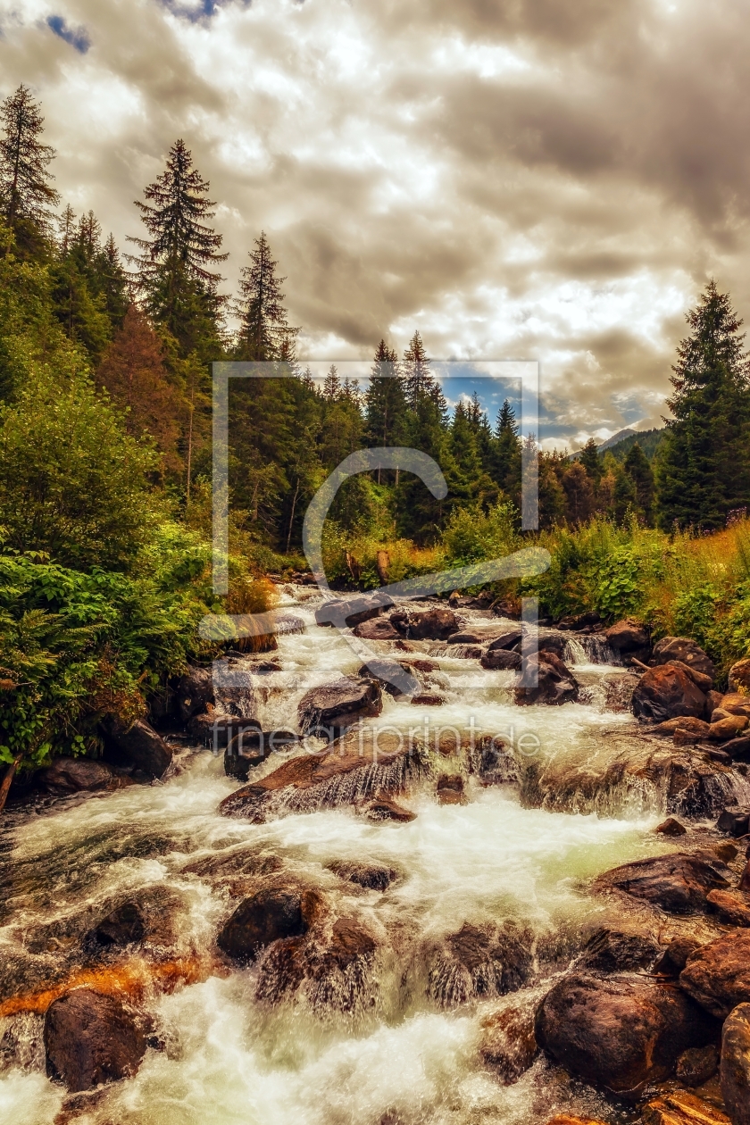 Bild-Nr.: 11016400 Tirol  - Herbstfarben am Gebirgsbach erstellt von wompus