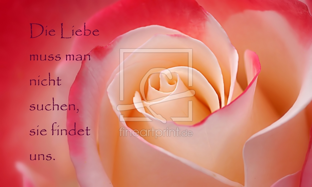 Bild-Nr.: 11016676 L´amour erstellt von youhaveadream