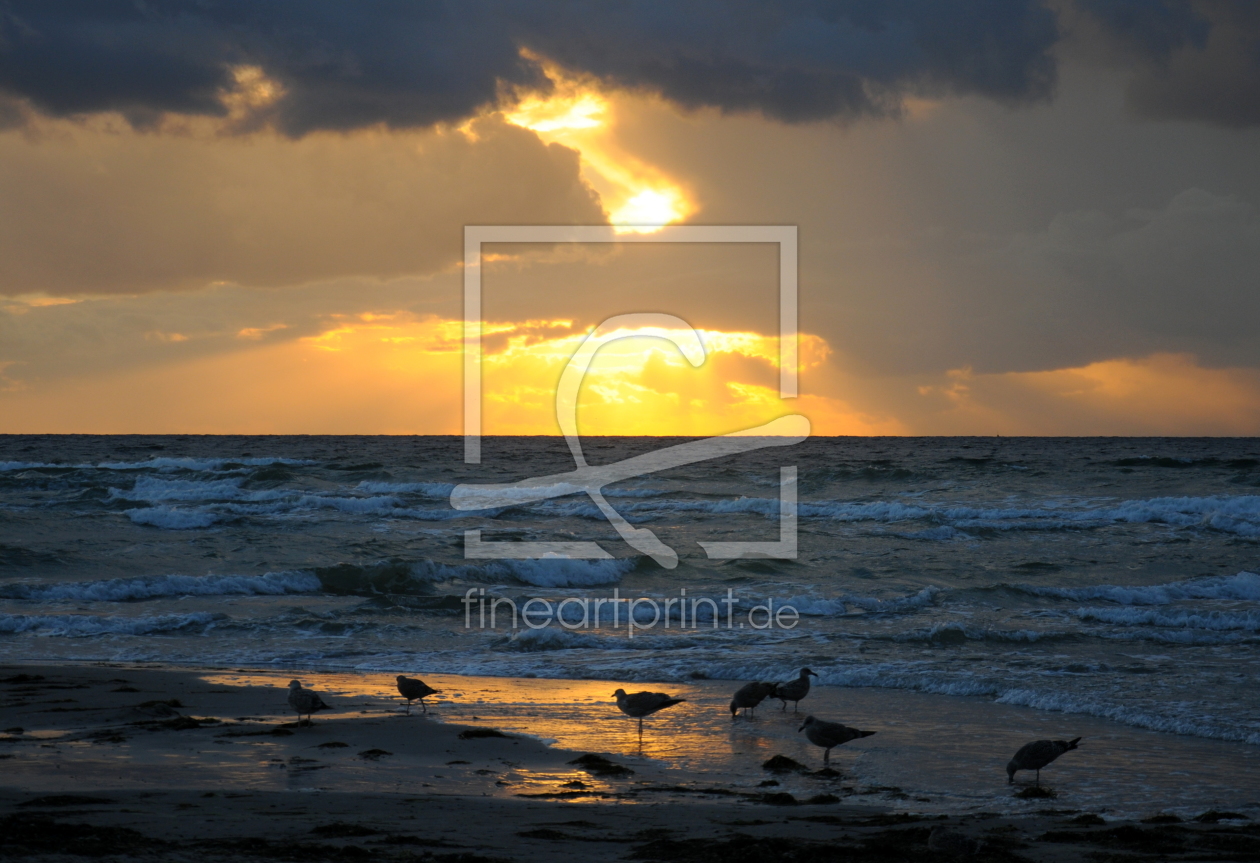 Bild-Nr.: 11017258 Strandgänger erstellt von VOLKER60