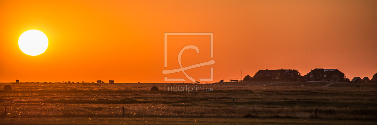 Bild-Nr.: 11019563 Hallig Hooge erstellt von bullibauert3