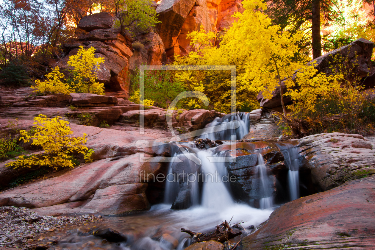 Bild-Nr.: 11019722 Kanarra Creek erstellt von StefanLindlPhotography