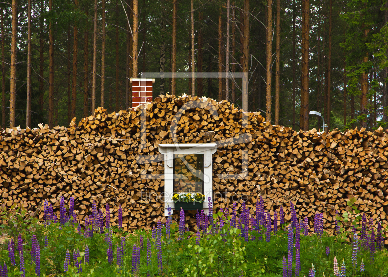 Bild-Nr.: 11020508 Das Fenster im Wald 5 erstellt von Anja Schäfer