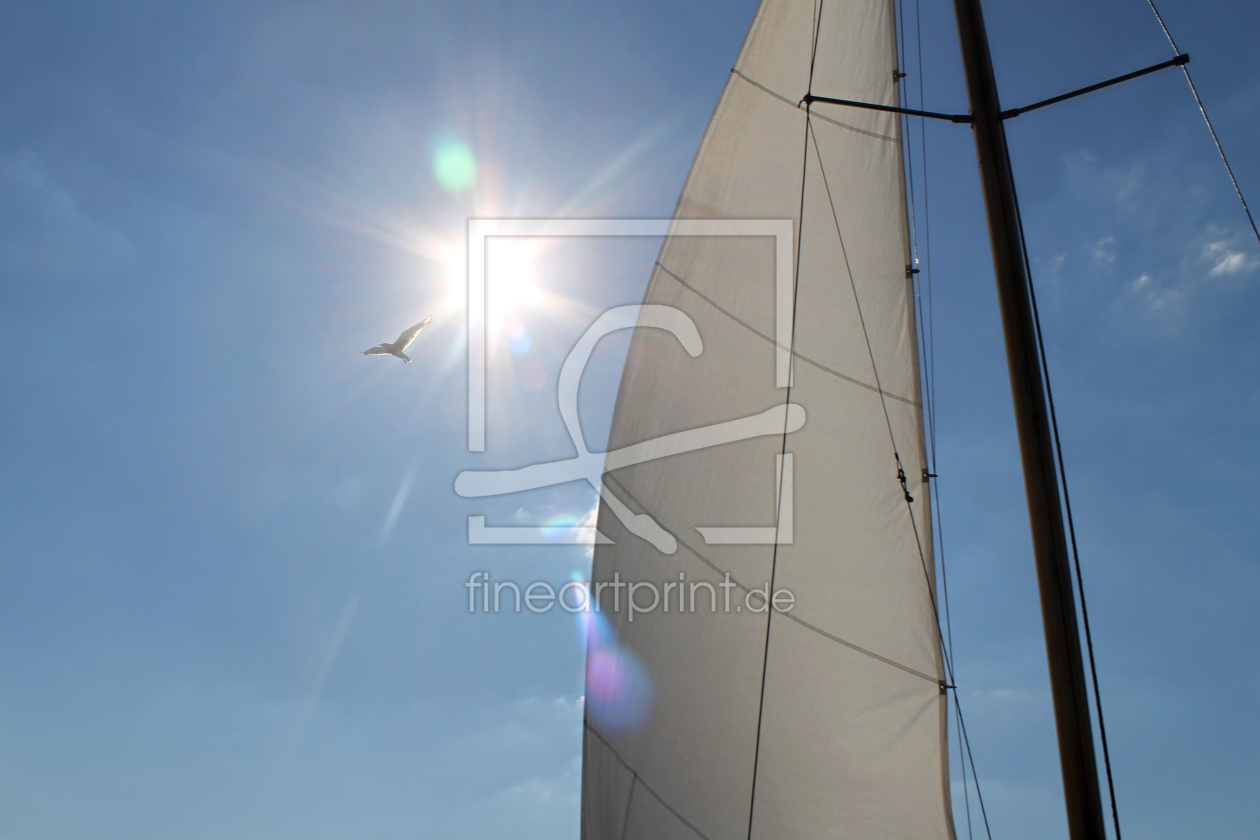 Bild-Nr.: 11021523 Summer Sail 1 erstellt von aquascape