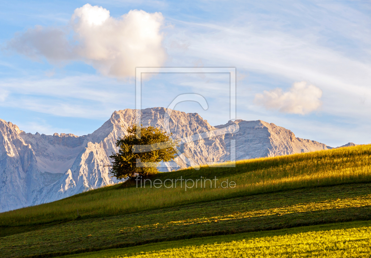 Bild-Nr.: 11025657 Bergwiese im Karwendel erstellt von wompus