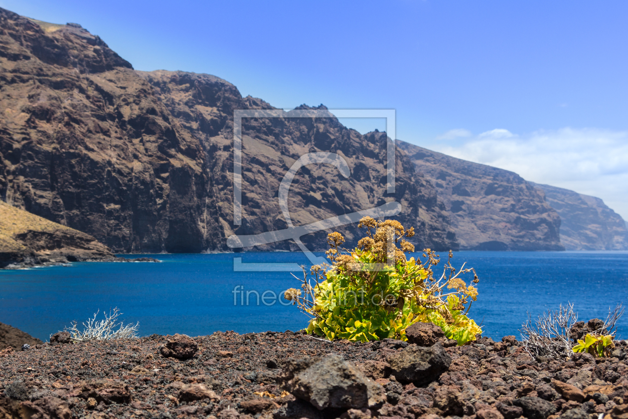 Bild-Nr.: 11026563 Faro de Teno erstellt von orcinus