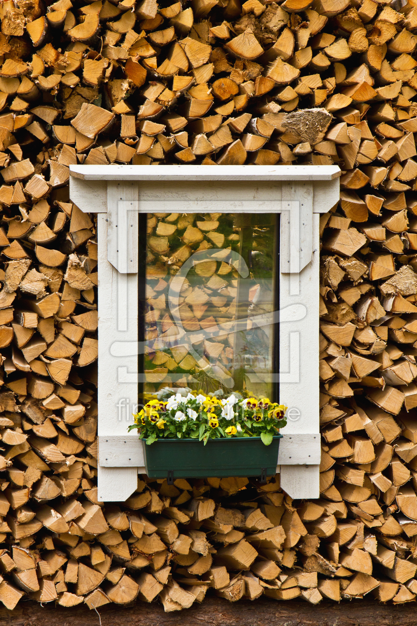 Bild-Nr.: 11027335 Das Fenster im Holz 2  erstellt von Anja Schäfer