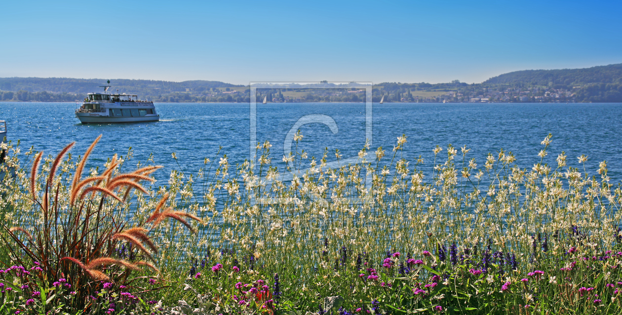 Bild-Nr.: 11036767 Blumen am Bodensee Panorama erstellt von Mausopardia