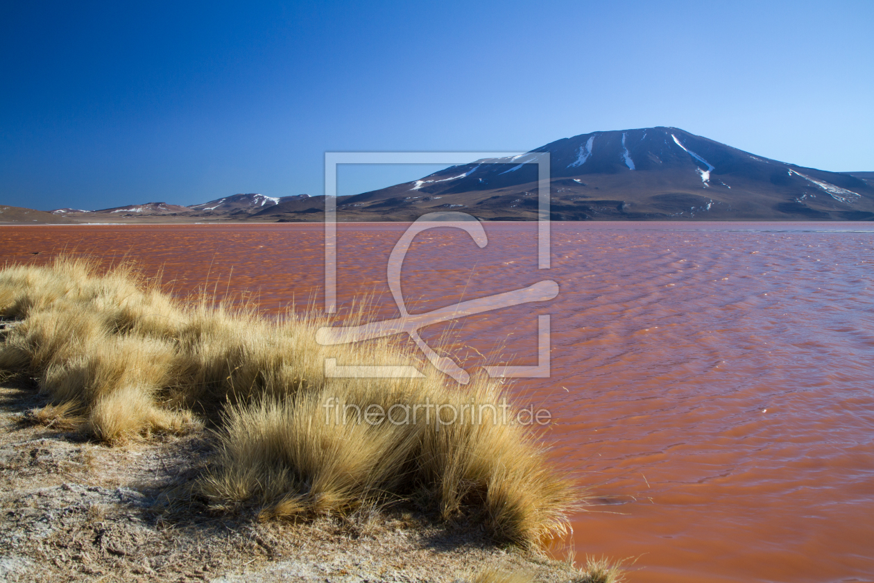 Bild-Nr.: 11041391 Laguna Colorada erstellt von janschuler