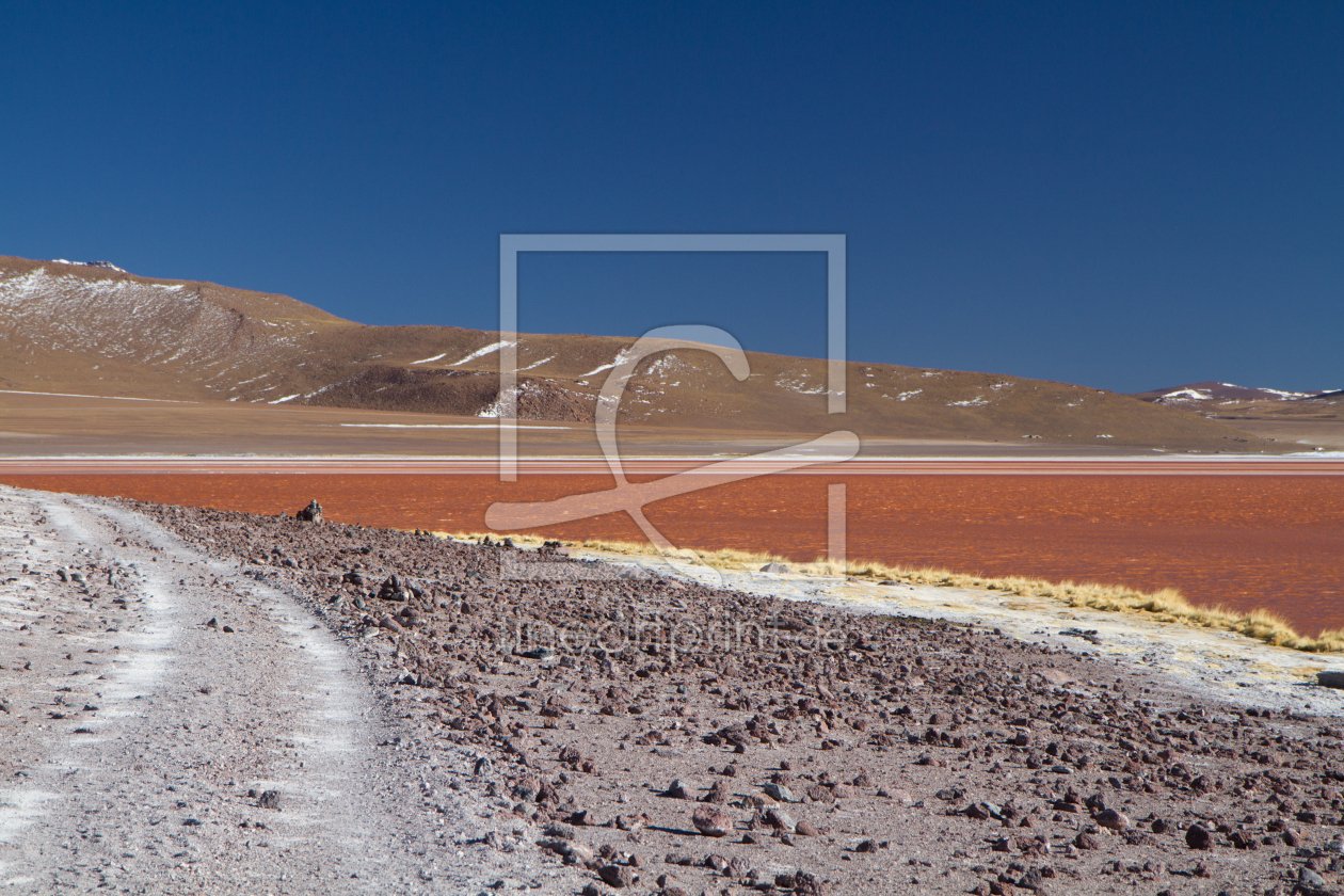 Bild-Nr.: 11041419 Laguna Colorada erstellt von janschuler