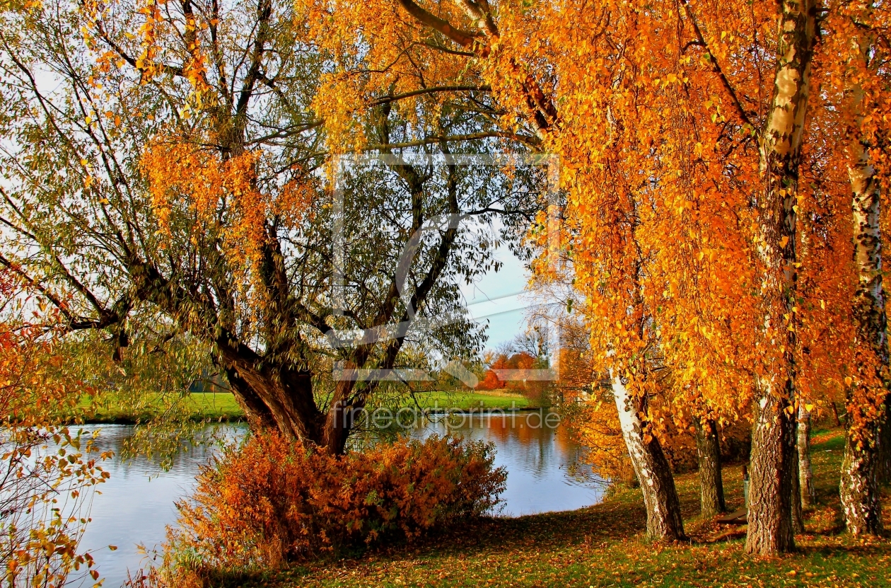 Bild-Nr.: 11042097 Herbst am Fluß erstellt von falconer59