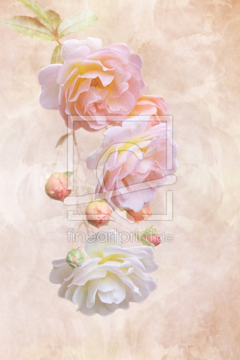 Bild-Nr.: 11042243 Romantic Roses erstellt von Anja Otto