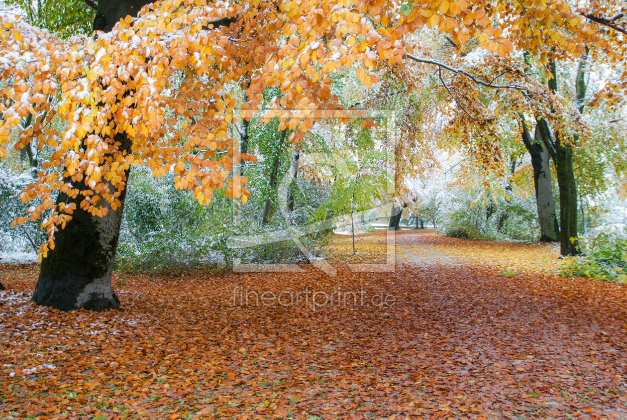 Bild-Nr.: 11043829 Durch den Herbst wandern erstellt von hannes cmarits