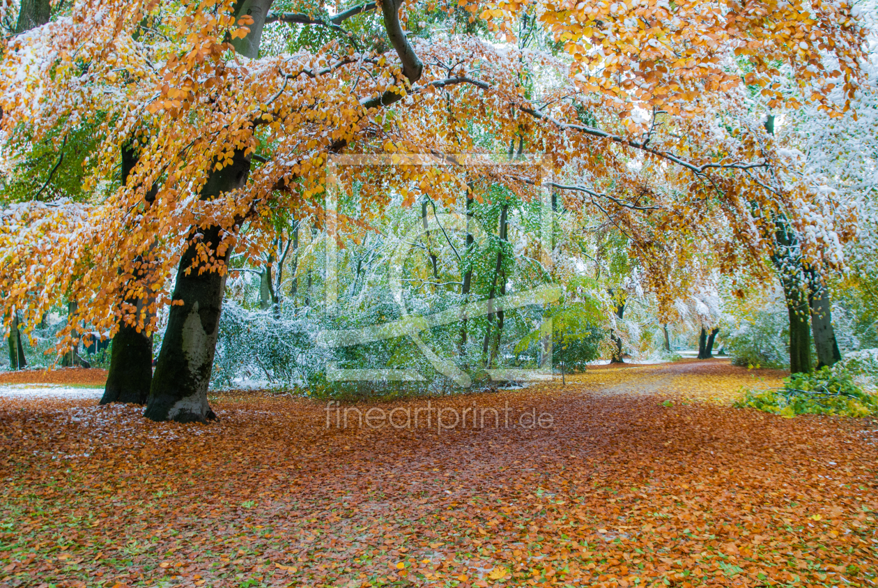 Bild-Nr.: 11043835 Weg durch den Herbst erstellt von hannes cmarits