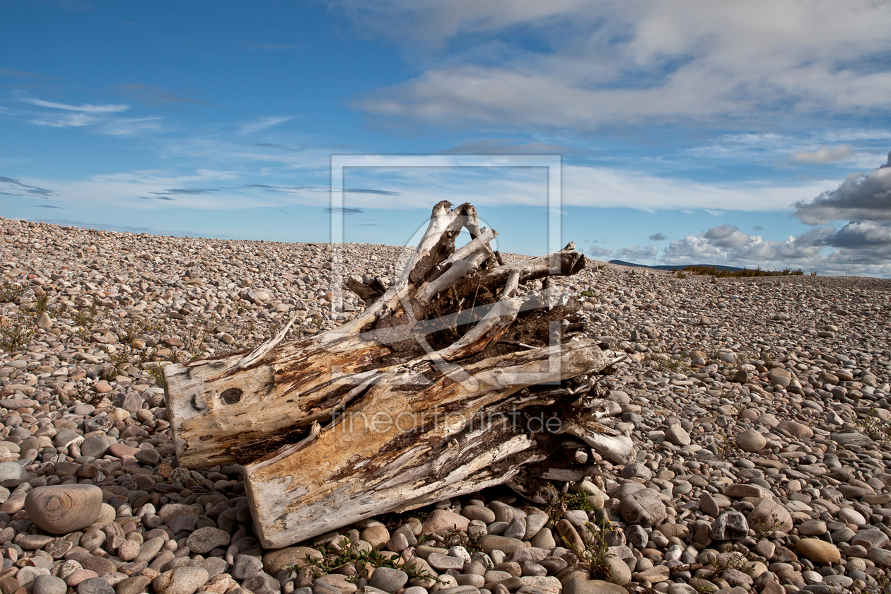 Bild-Nr.: 11045929 Beachwood Spey Bay, Schottland erstellt von KaDeKb