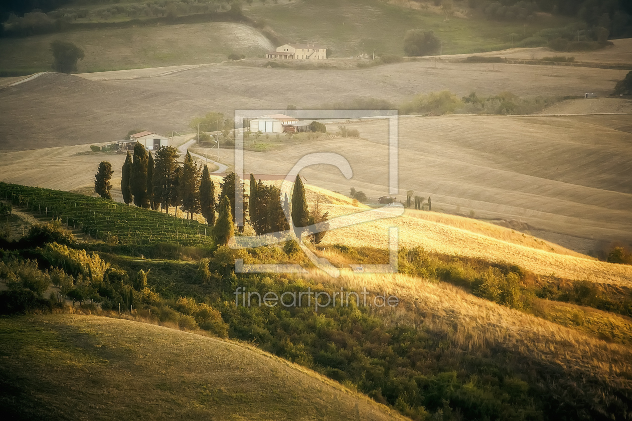 Bild-Nr.: 11046731 Toskana Landschaft erstellt von Markus Gann