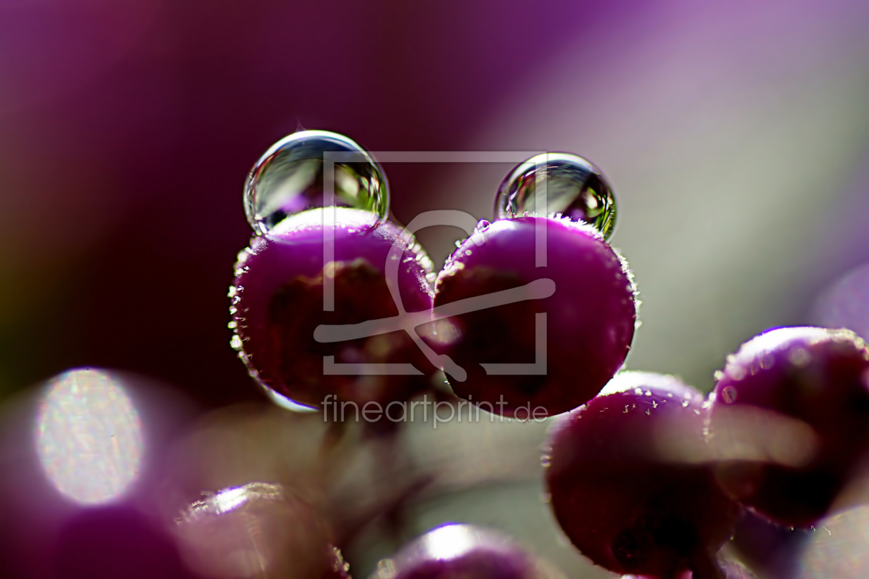 Bild-Nr.: 11048115 Balls erstellt von youhaveadream