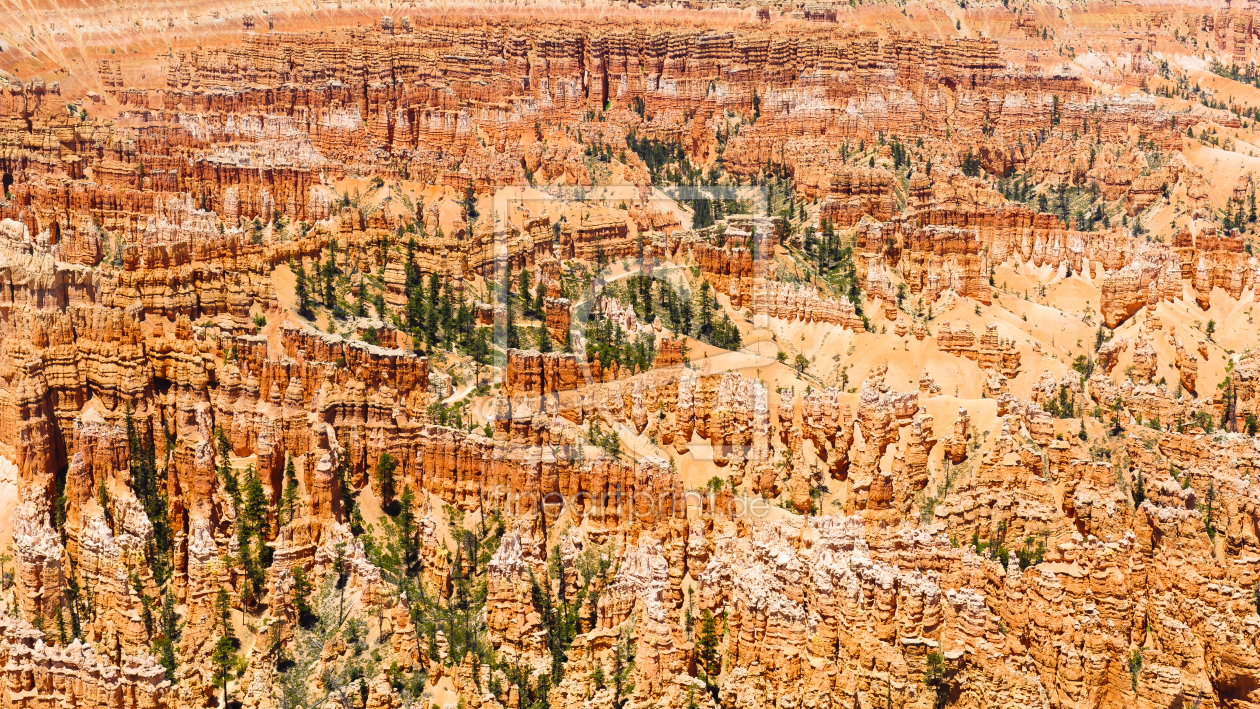 Bild-Nr.: 11050717 Der Bryce ist heiß! Bild-Nr.: 11050717 Der Bryce ist heiß! erstellt von DenisFeiner