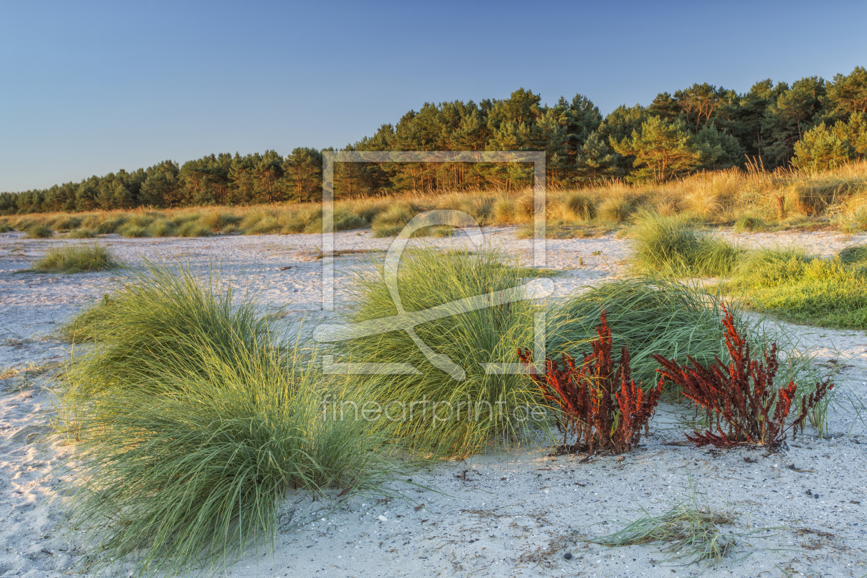 Bild-Nr.: 11057441 Strandpuscheln erstellt von Daniela Beyer