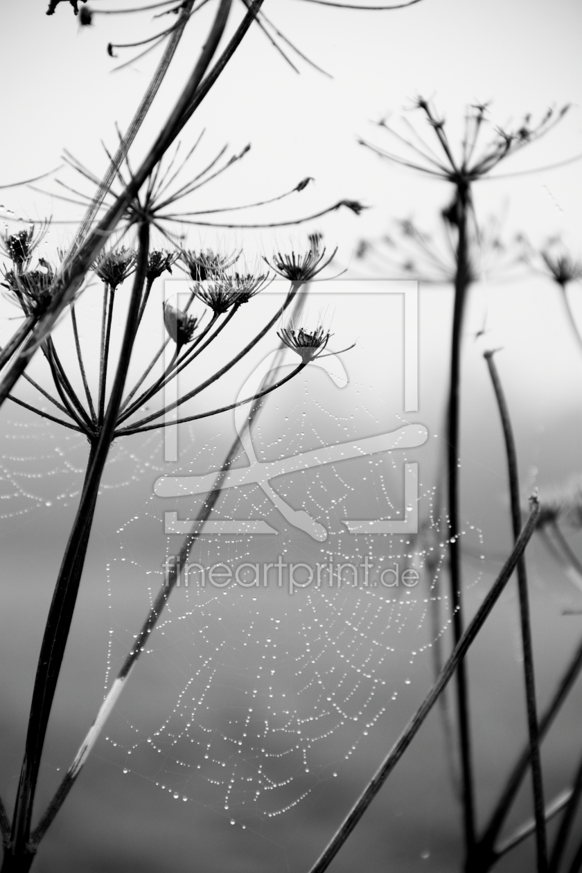 Bild-Nr.: 11058789 Herbst erstellt von kroepfli