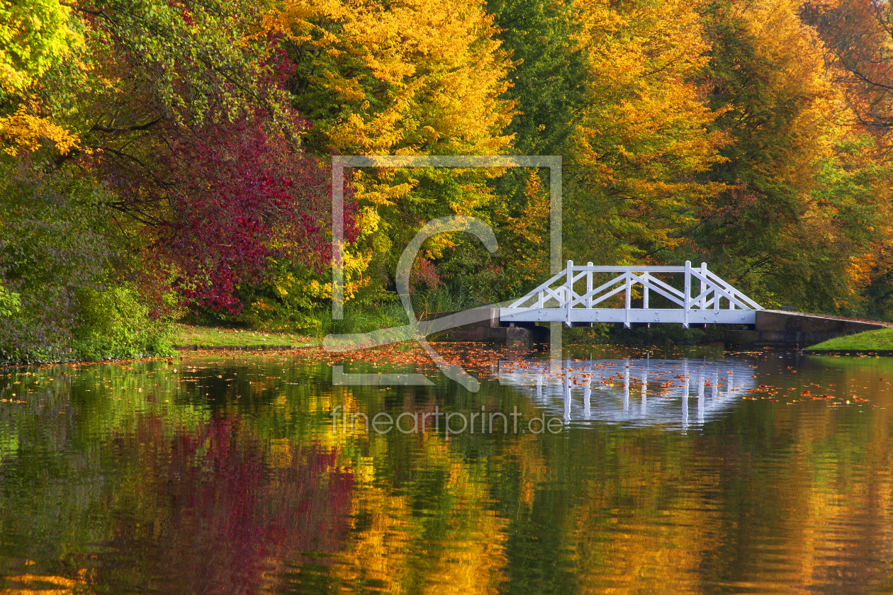 Bild-Nr.: 11061167 Herbstprachtfarben erstellt von Thomas Herzog