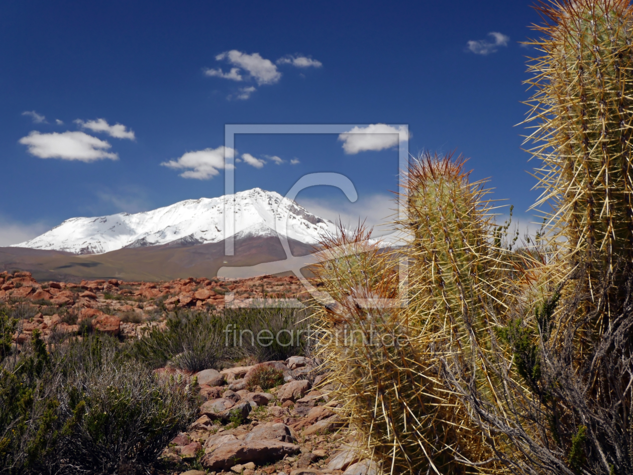 Bild-Nr.: 11065127 Atacama II erstellt von JLenk