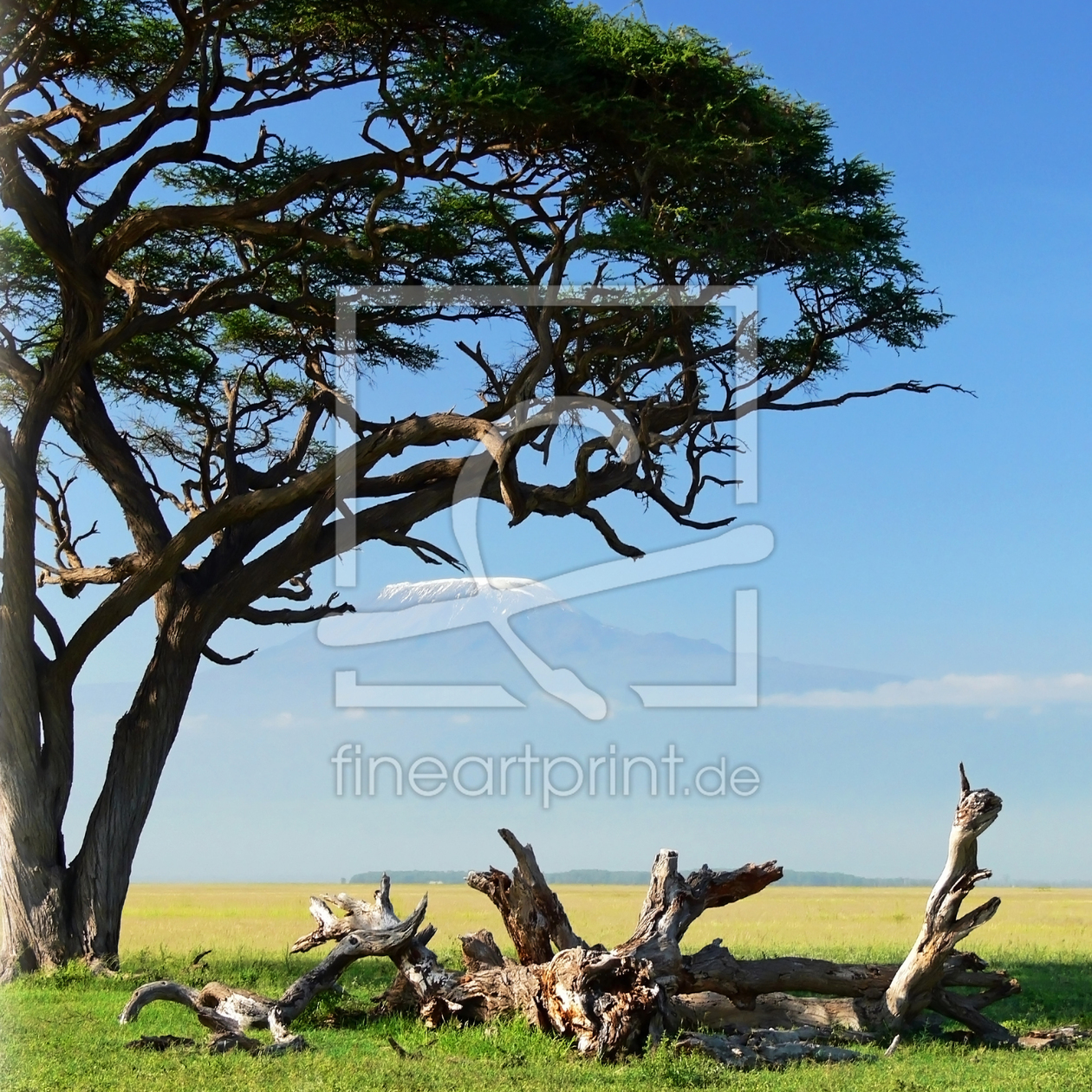 Bild-Nr.: 11066401 Amboseli NP erstellt von JLenk