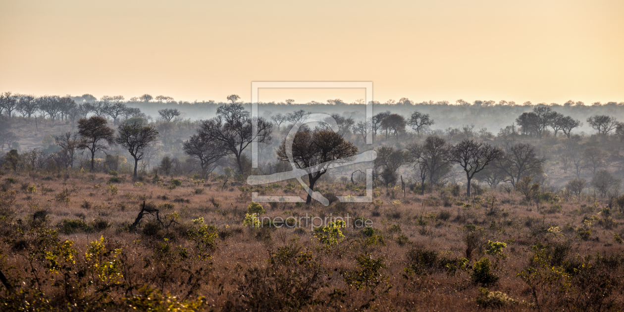 Bild-Nr.: 11066435 African Landscape erstellt von TomKli