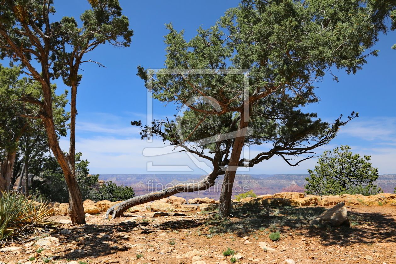 Bild-Nr.: 11066439 Grand Canyon erstellt von fotoping