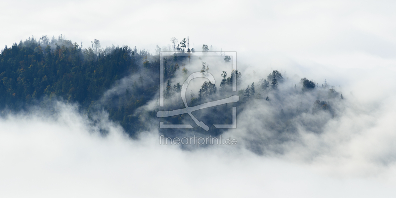 Bild-Nr.: 11067133 Herbstnebel   erstellt von DenisFeiner