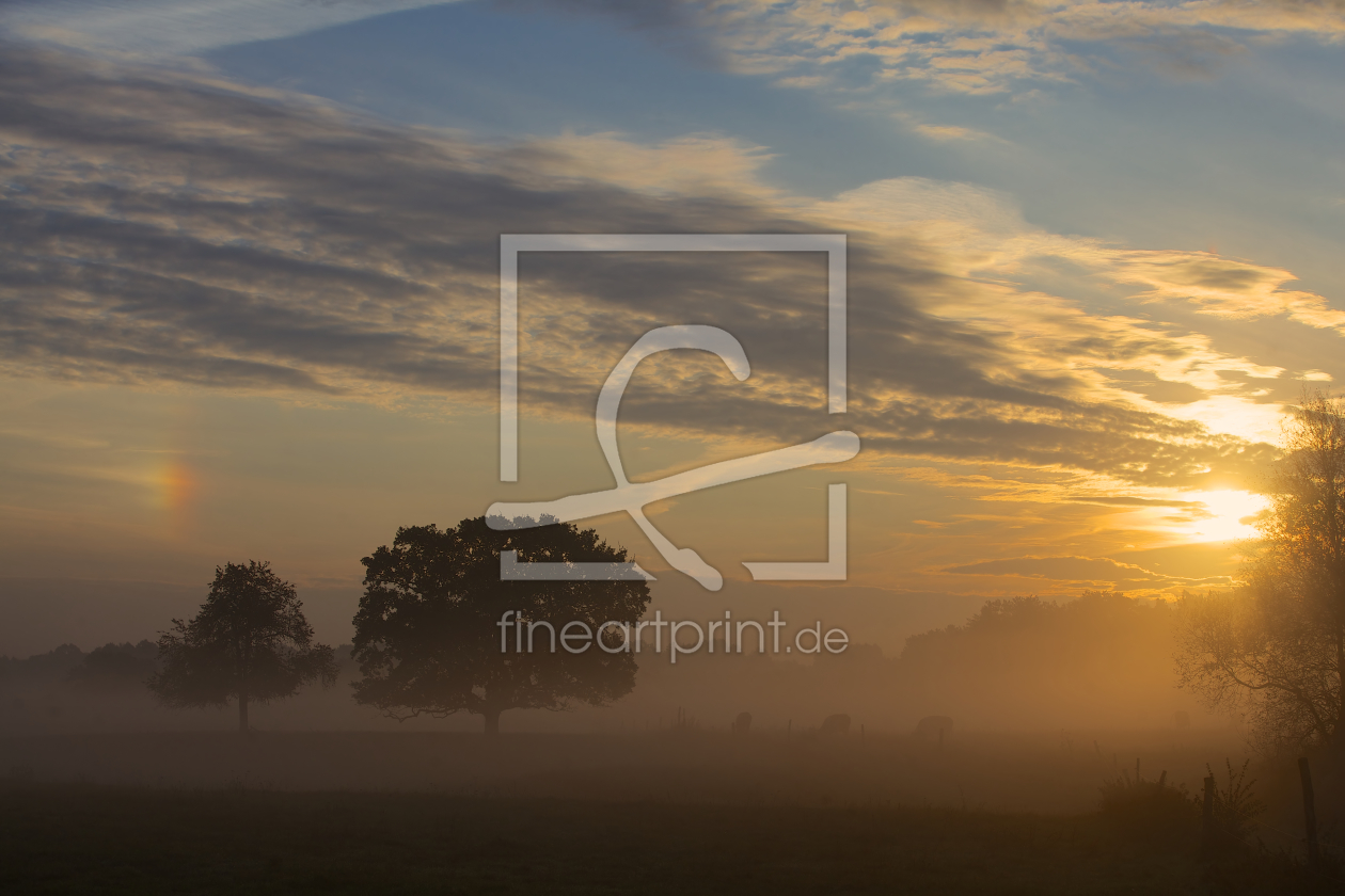 Bild-Nr.: 11069551 Herbstmorgen erstellt von Jens Kalanke