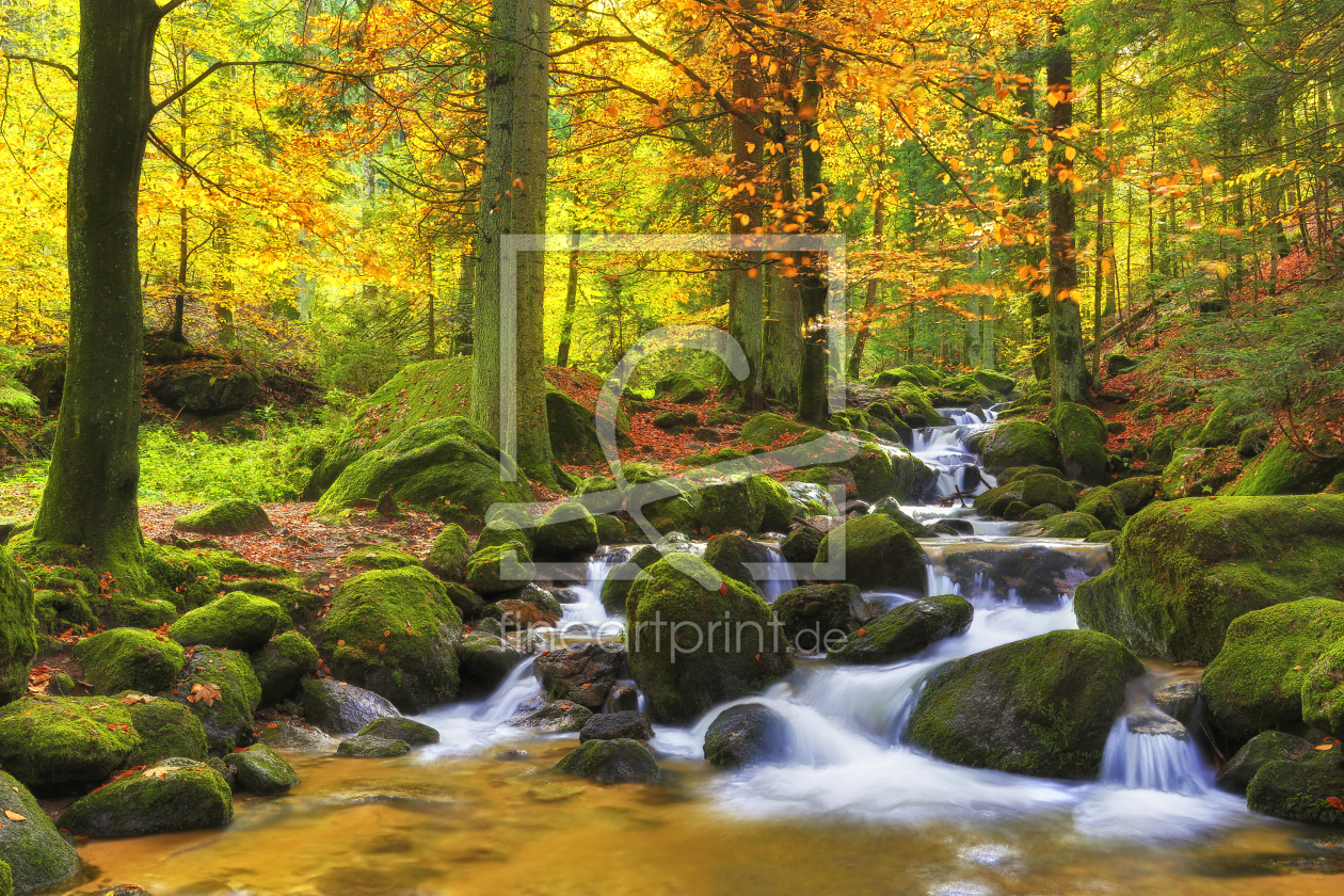 Bild-Nr.: 11070819 Schwarzwaldherbst erstellt von 