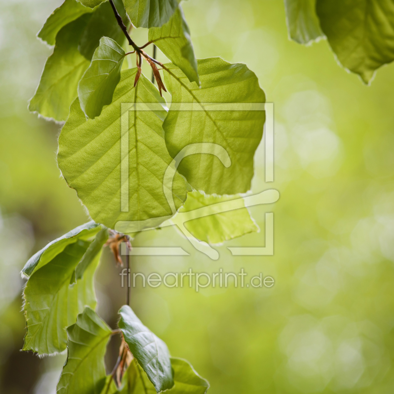 Bild-Nr.: 11071311 hanging around erstellt von aliasemma