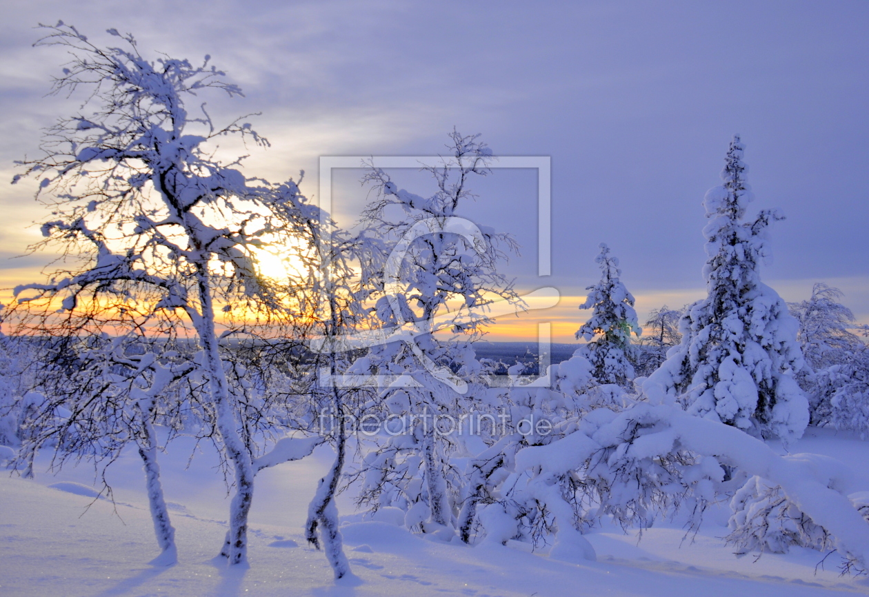 Bild-Nr.: 11071796 Wintertag in Finnland erstellt von GUGIGEI