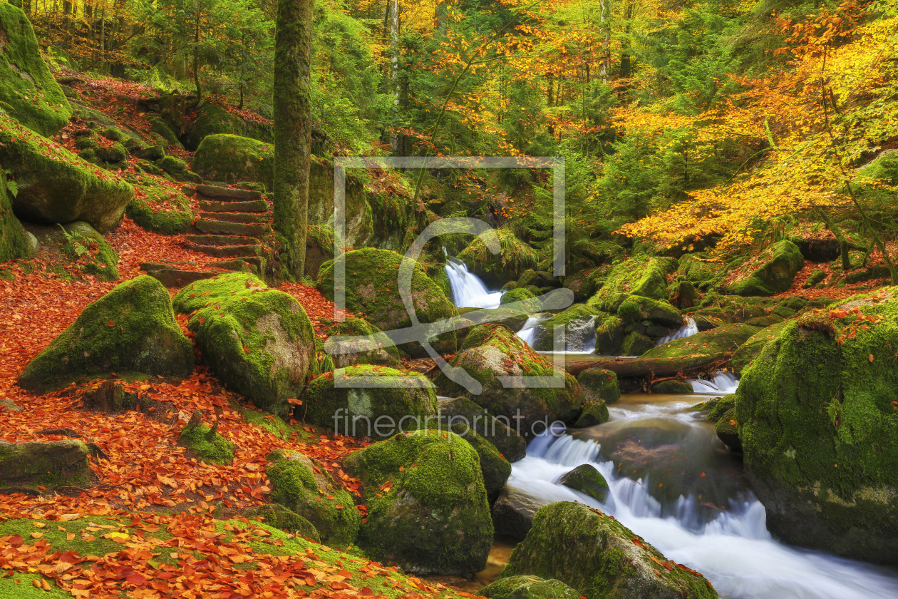 Bild-Nr.: 11071915 Herbst überm Schwarzwald erstellt von Thomas Herzog