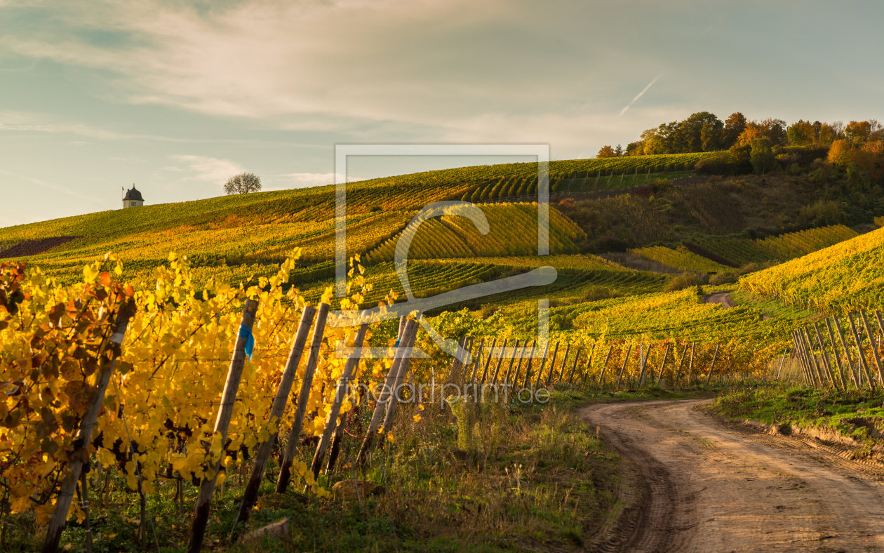 Bild-Nr.: 11072143 Goldener Herbst II erstellt von Erhard Hess