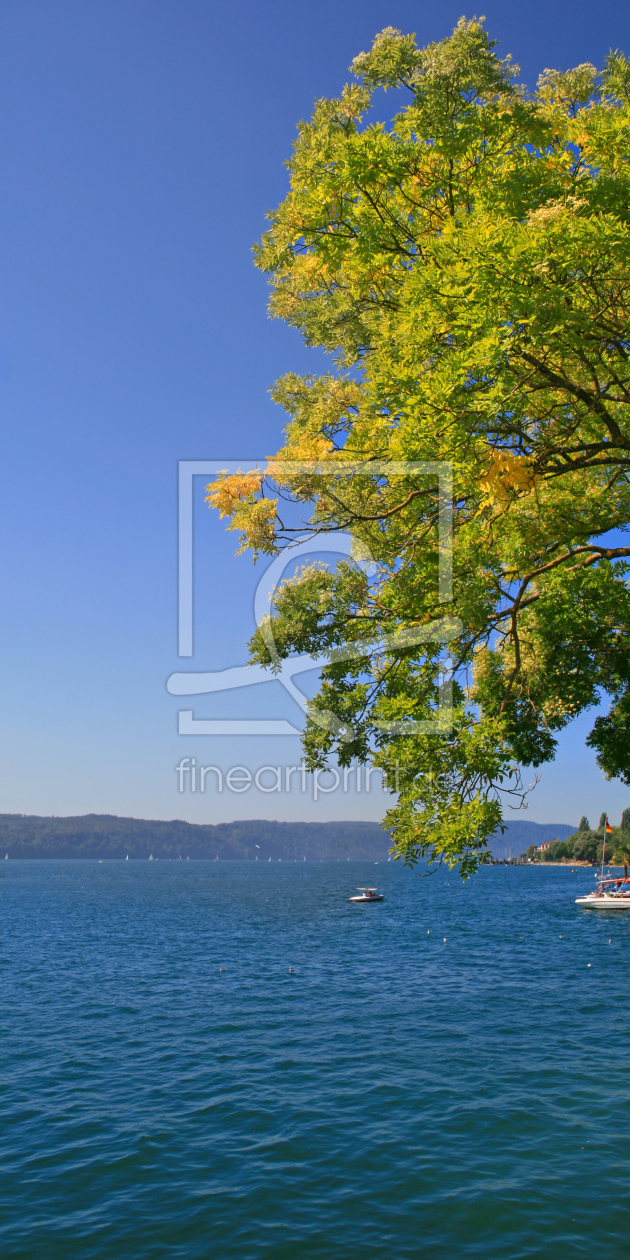 Bild-Nr.: 11074845 Herbst am Bodensee erstellt von Mausopardia