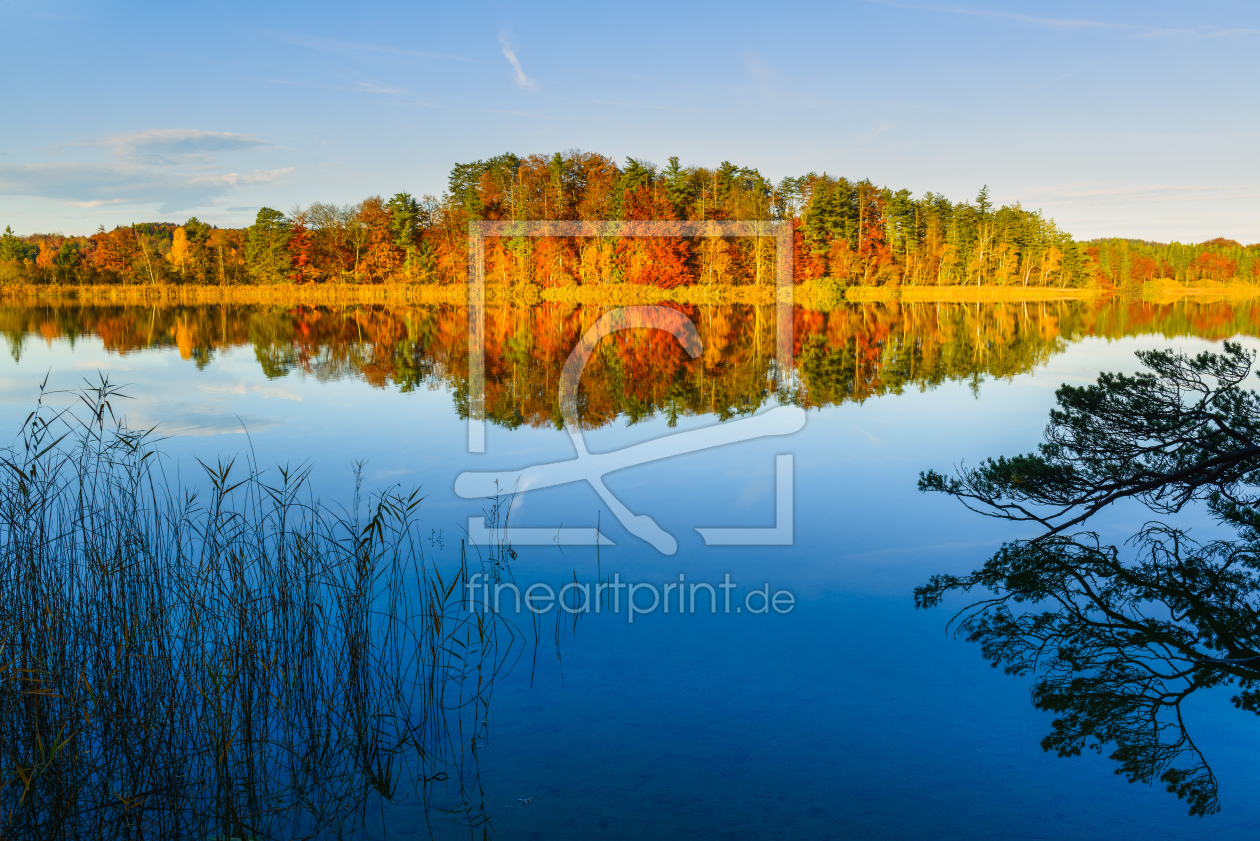 Bild-Nr.: 11075129 Natural mirror erstellt von DenisFeiner