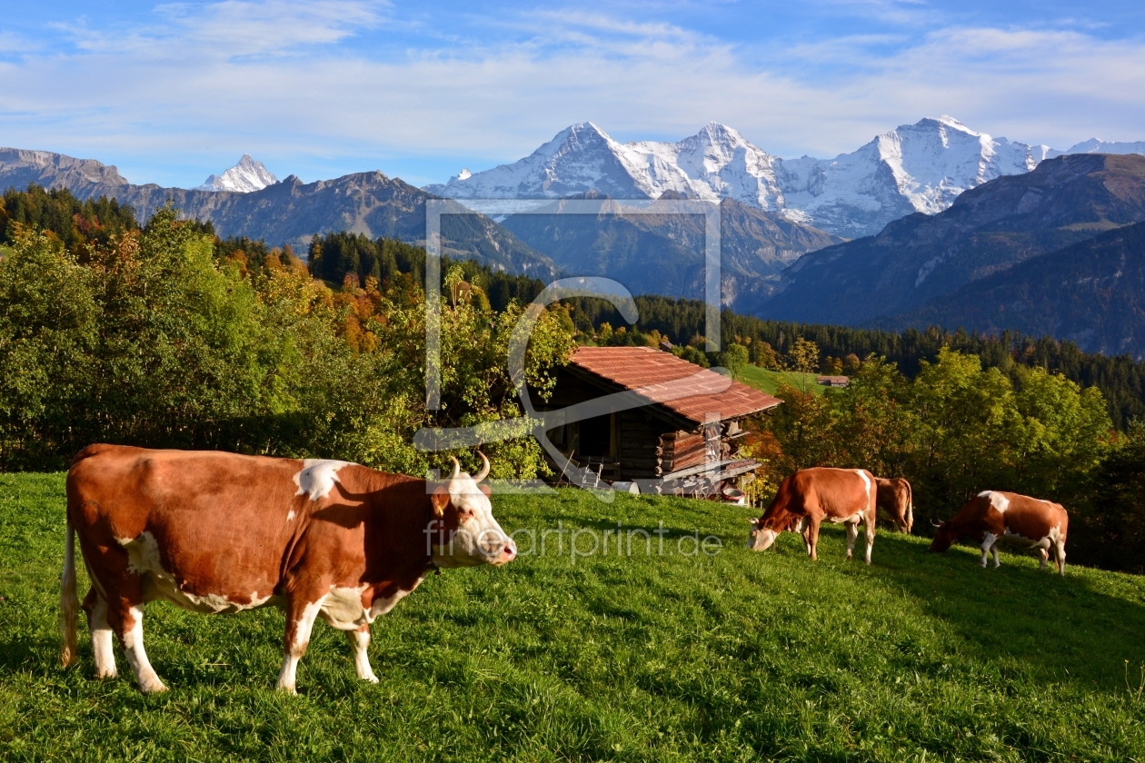 Bild-Nr.: 11075397 Alpenidylle erstellt von Bettina Schnittert