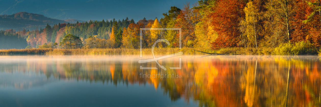 Bild-Nr.: 11076149 COLORS OF FALL erstellt von DenisFeiner