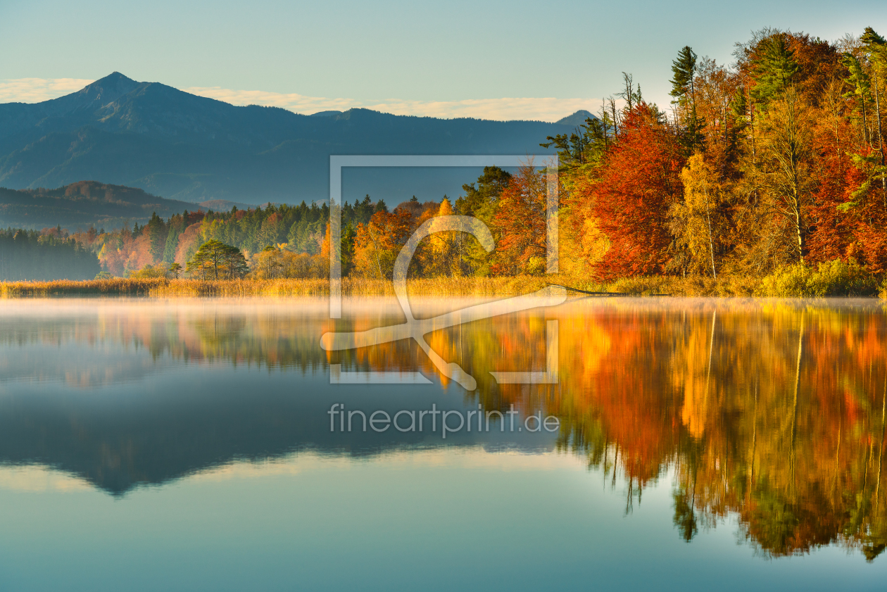 Bild-Nr.: 11076859 Colors of fall 2 erstellt von DenisFeiner
