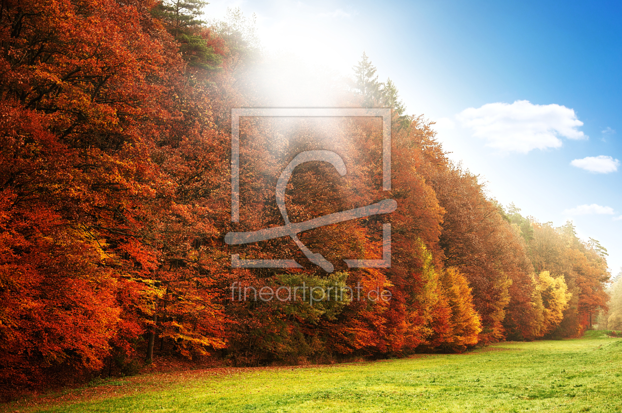 Bild-Nr.: 11077451 Herbstlandschaft erstellt von spima