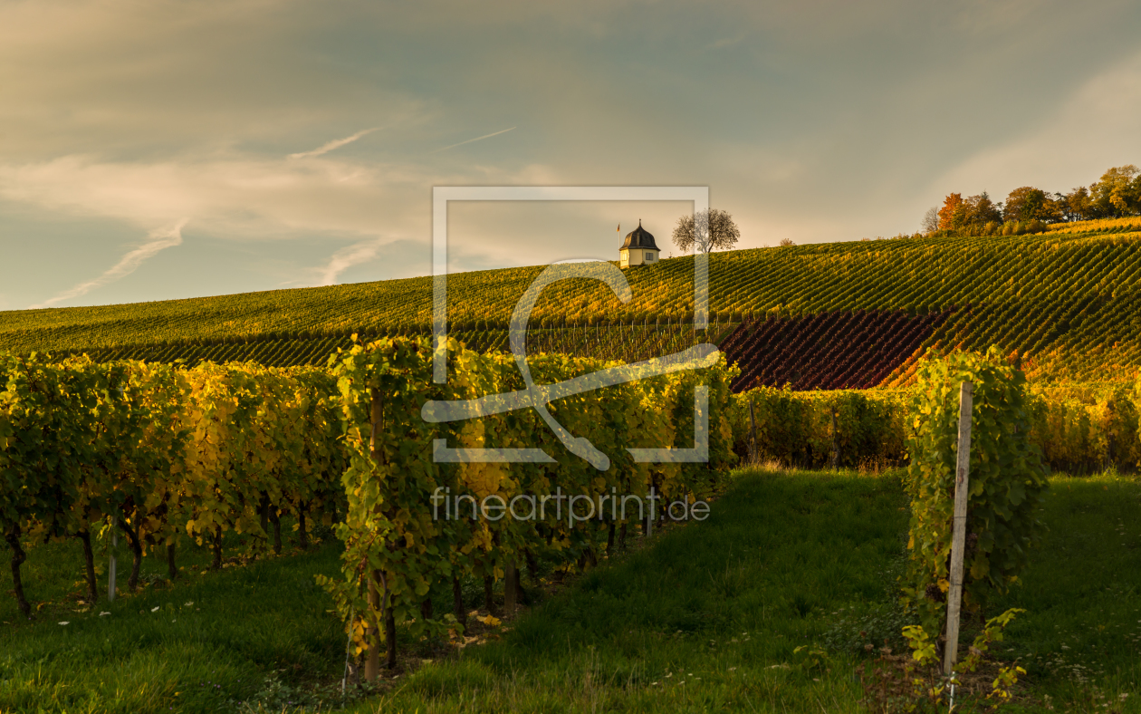 Bild-Nr.: 11078881 Herbstfarben III erstellt von Erhard Hess